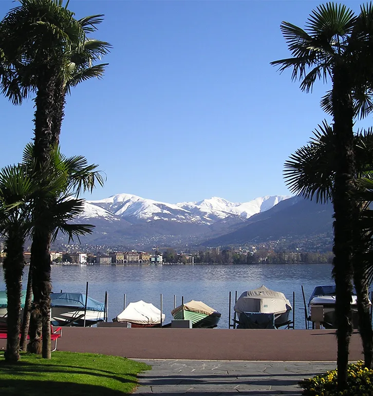 Il lungolago di Lugano tra le palme, e le montagne innevate